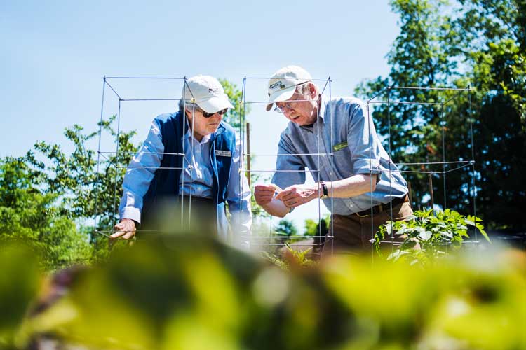 woman and man gardening