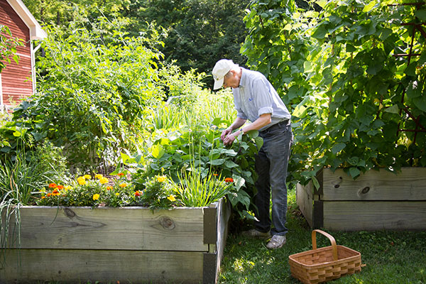 Linden Residential Care - Assisted Living in Shelburne, VT photo 4
